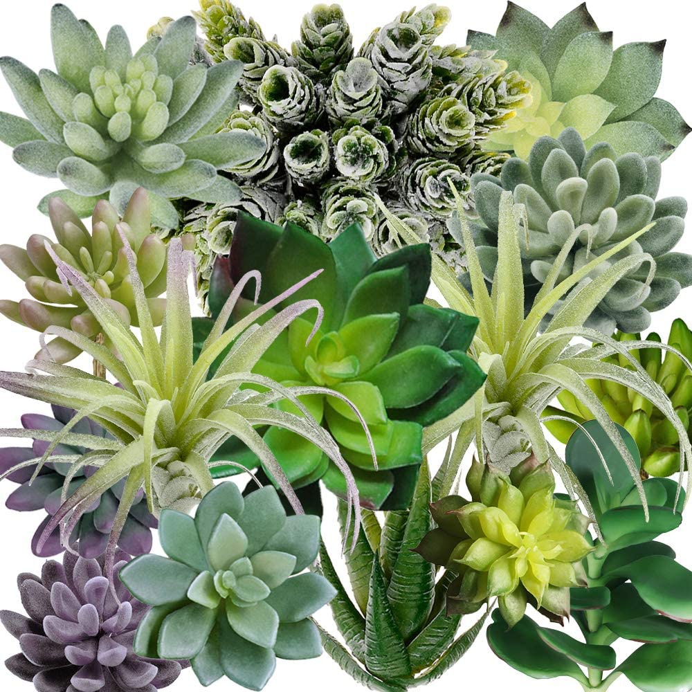 String Of Pearls Plant - Set di 15 Piante Succulente Artificiali