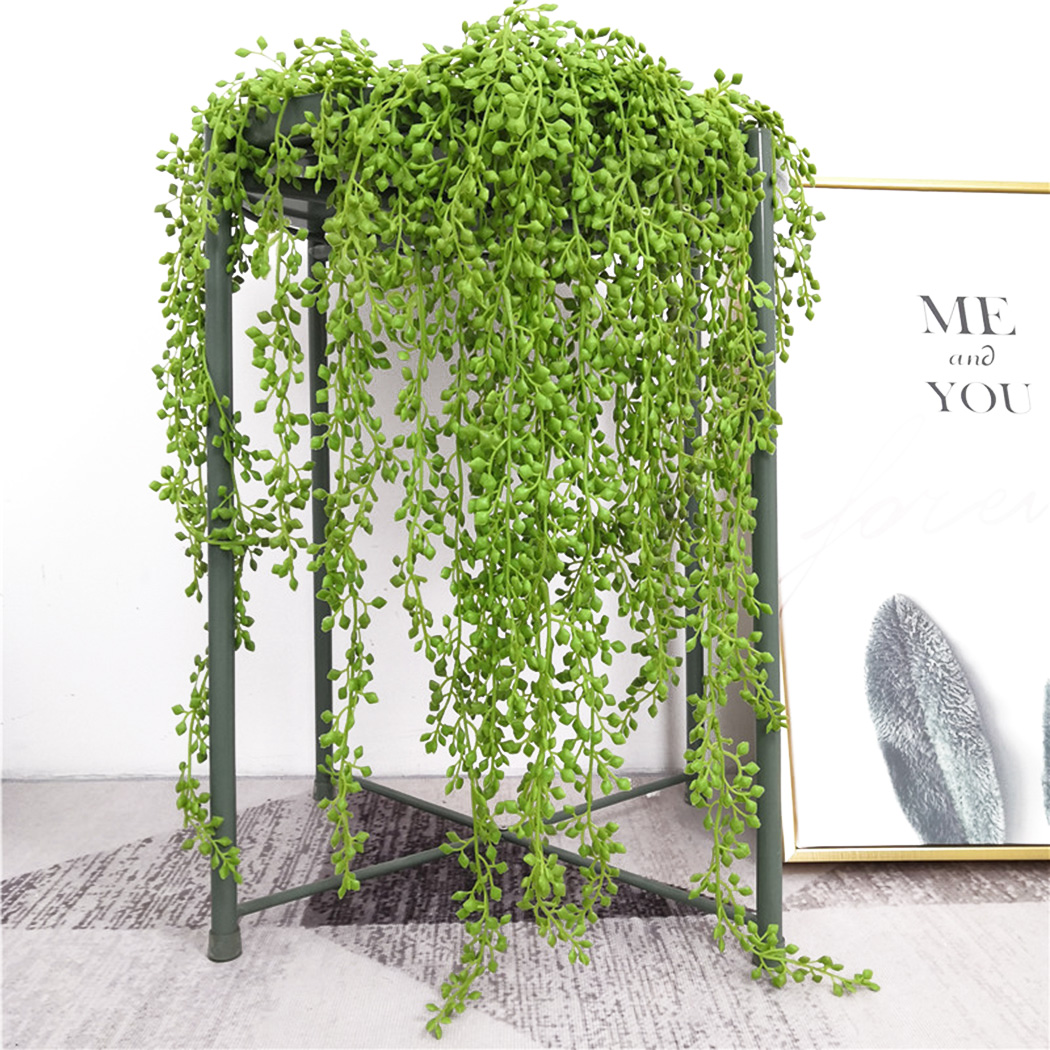 String Of Pearls Plant - Pianta artificiale Viti Appeso a parete