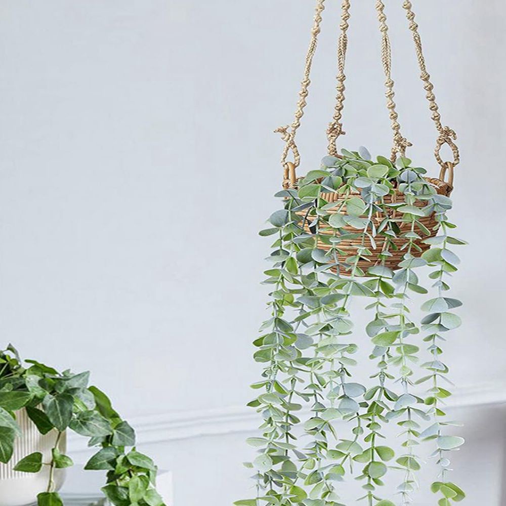 Edera Artificiale Pendente, Eu - String Of Pearls Plant recensione e prezzo