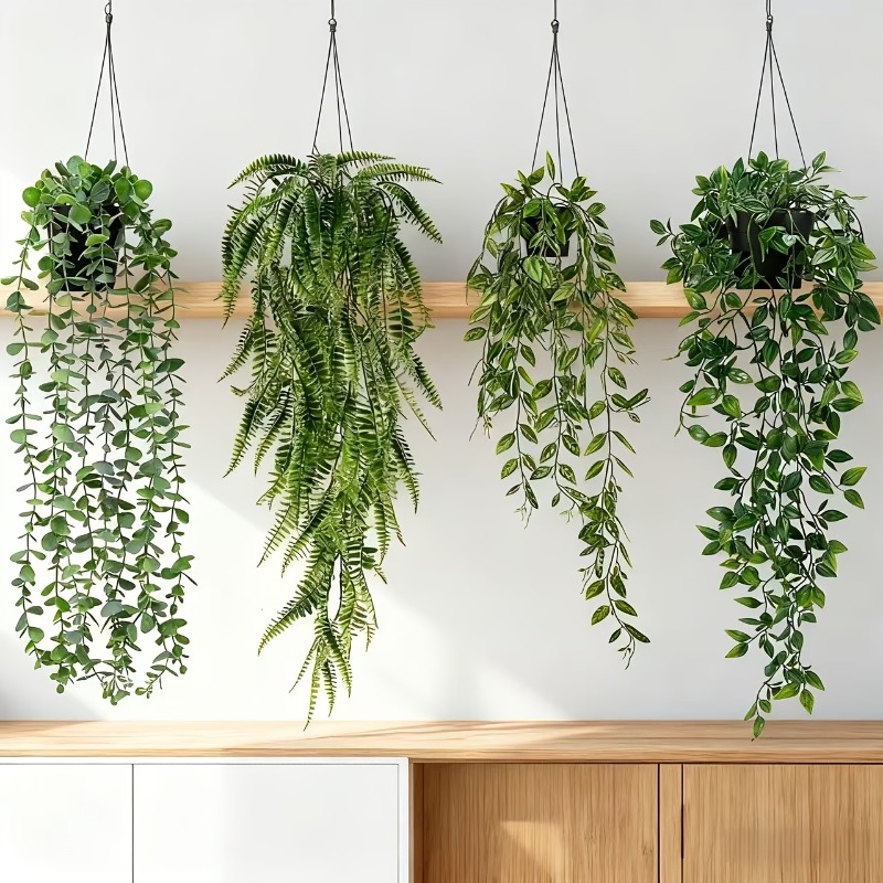 Set di 4 Piante Rampicanti Art - String Of Pearls Plant recensione e prezzo