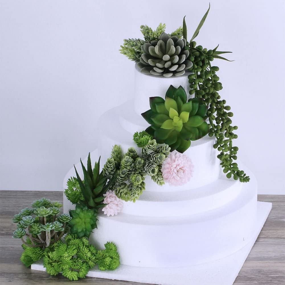 15 piante grasse artificiali d - String Of Pearls Plant recensione e prezzo