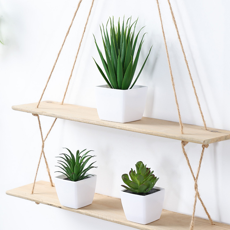 (U set di 3 pezzi) Mini piante - String Of Pearls Plant recensione e prezzo
