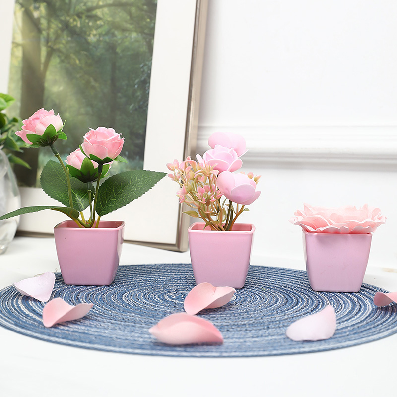 (U set di 3 pezzi) Mini piante - String Of Pearls Plant recensione e prezzo