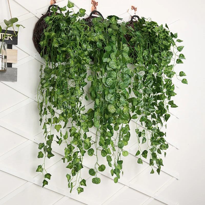 90cm artificiale ravanello ver - String Of Pearls Plant recensione e prezzo