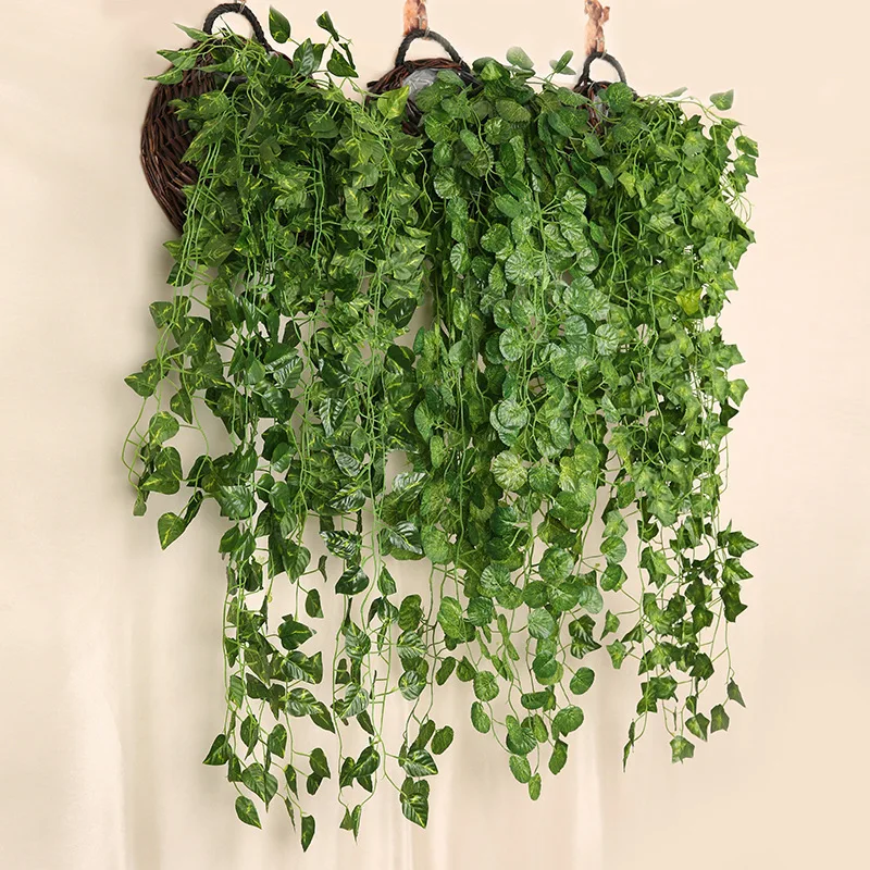 90cm artificiale ravanello ver - String Of Pearls Plant recensione e prezzo