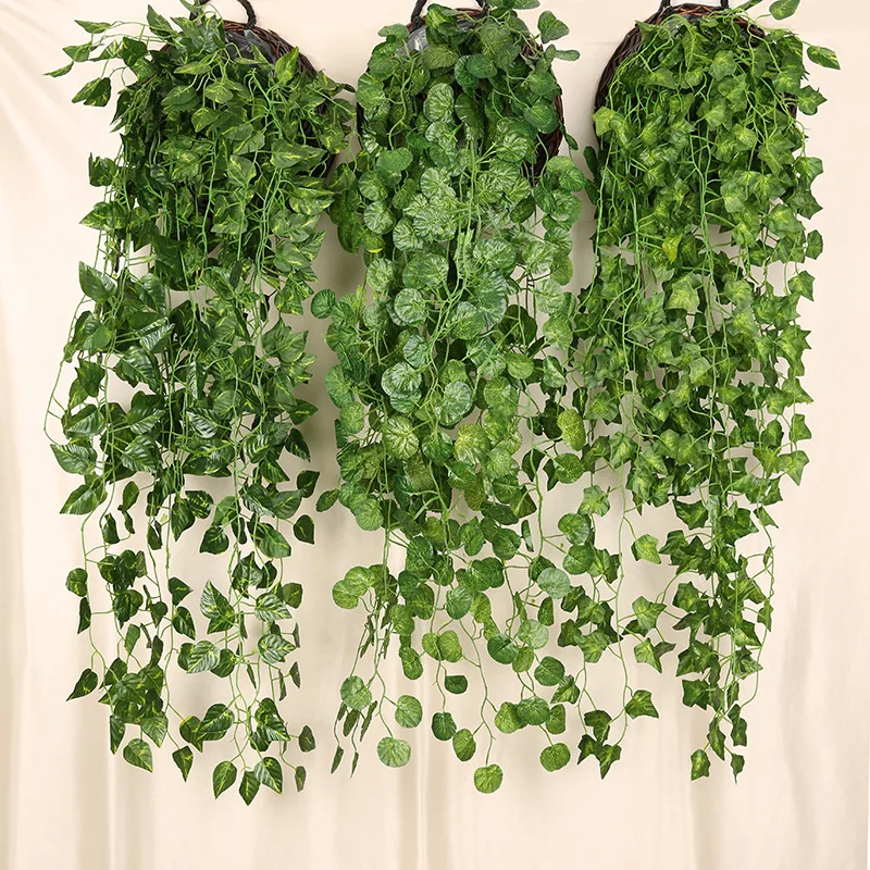 90cm artificiale ravanello ver - String Of Pearls Plant recensione e prezzo
