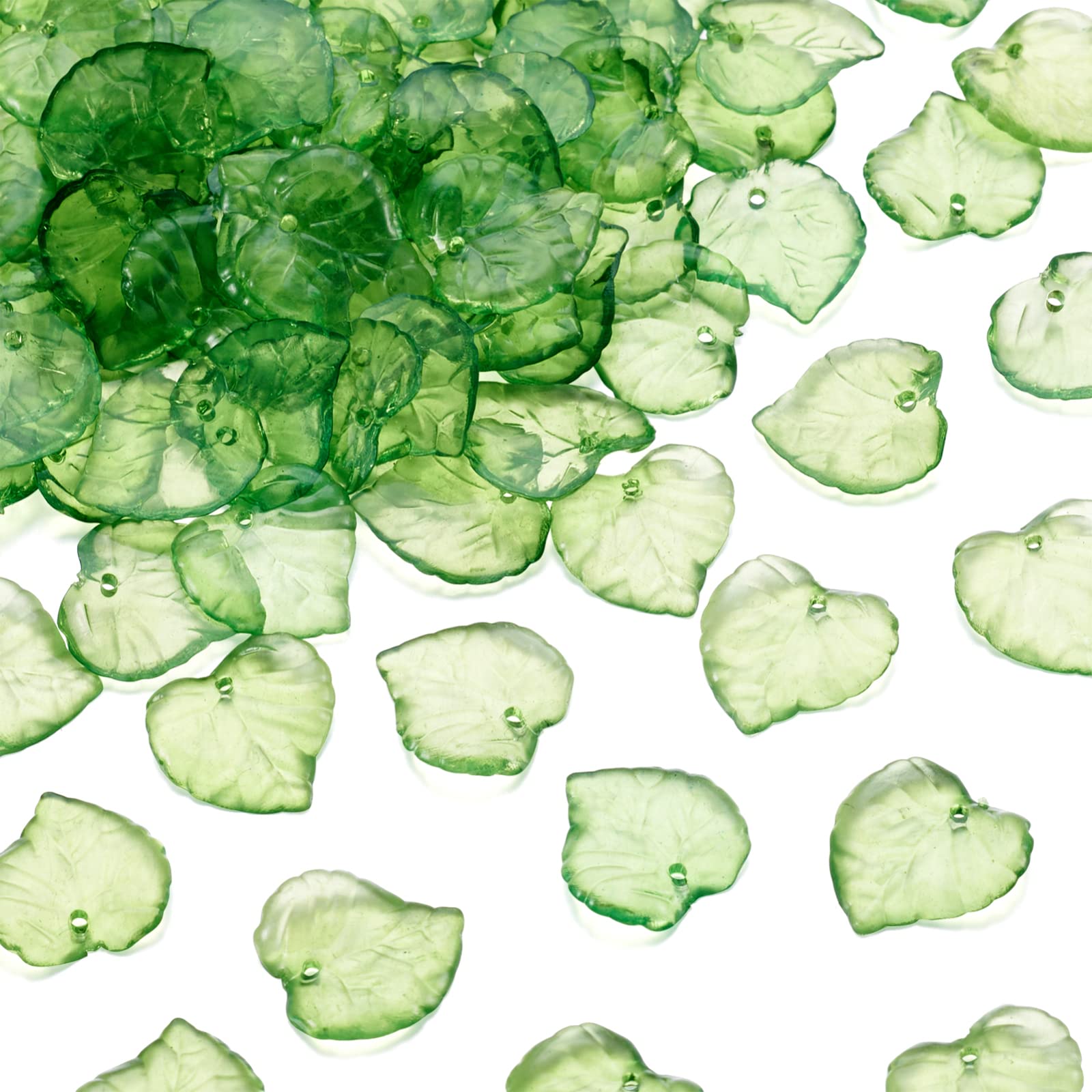 100 Pezzi di Perline a Forma d - String Of Pearls Plant recensione e prezzo