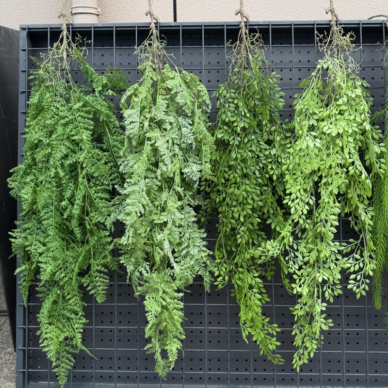 Viti sospese in plastica reali - String Of Pearls Plant recensione e prezzo