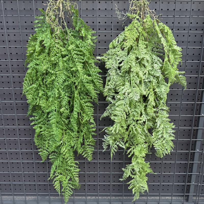 Viti sospese in plastica reali - String Of Pearls Plant recensione e prezzo