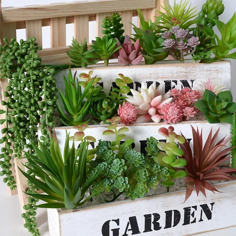 10/20 Pezzi Piante Succulente  - String Of Pearls Plant recensione e prezzo