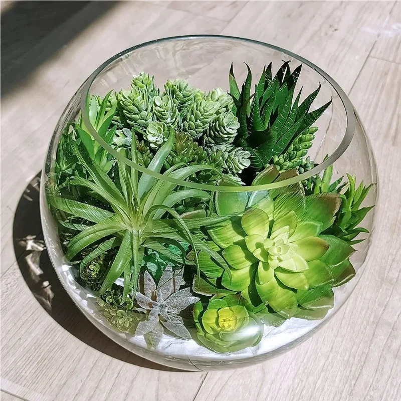 10/20 Pezzi Piante Succulente  - String Of Pearls Plant recensione e prezzo